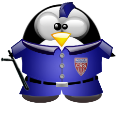penguin pingouin pinguino 558